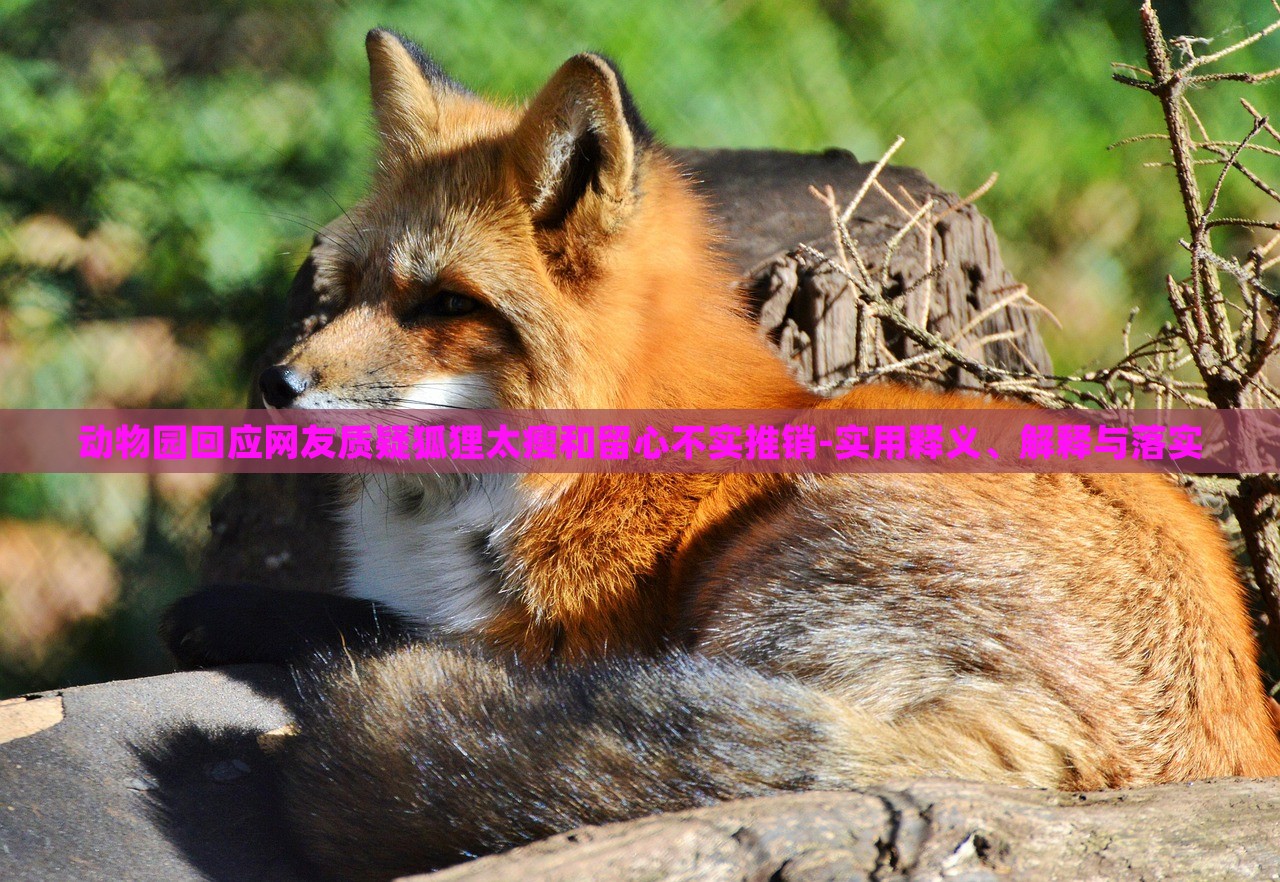 动物园回应网友质疑狐狸太瘦和留心不实推销-实用释义、解释与落实
