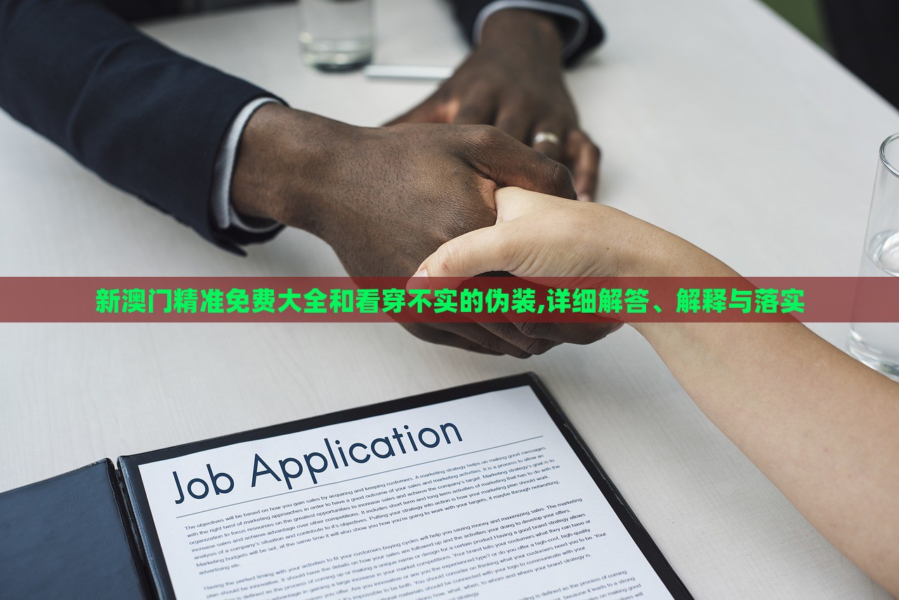 新澳门精准免费大全和看穿不实的伪装,详细解答、解释与落实