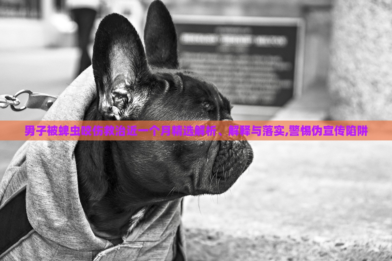 男子被蜱虫咬伤救治近一个月精选解析、解释与落实,警惕伪宣传陷阱