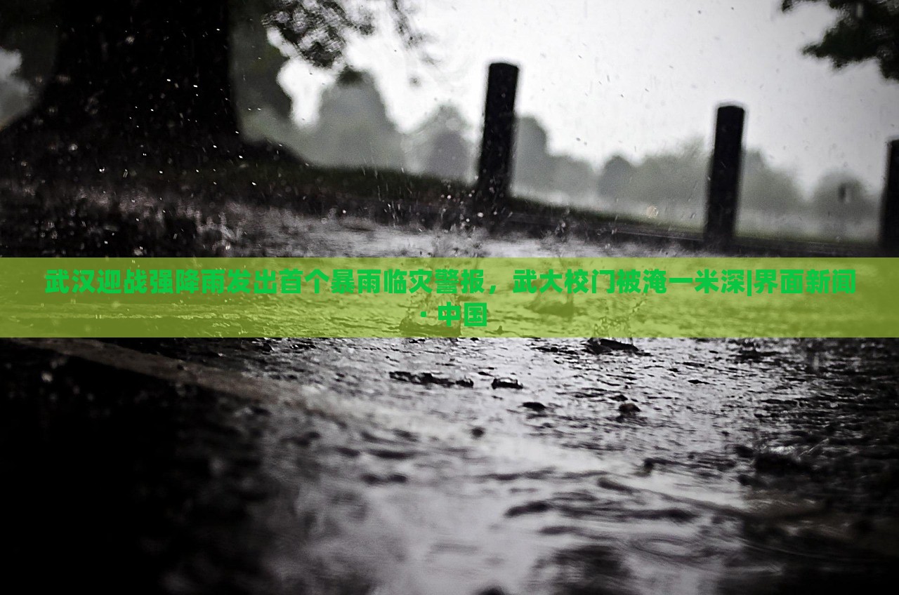 武汉迎战强降雨发出首个暴雨临灾警报，武大校门被淹一米深|界面新闻 · 中国