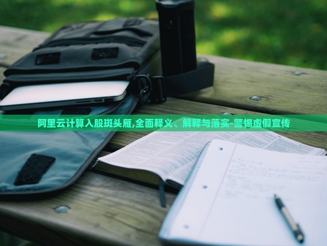阿里云計(jì)算入股斑頭雁,全面釋義、解釋與落實(shí)-警惕虛假宣傳