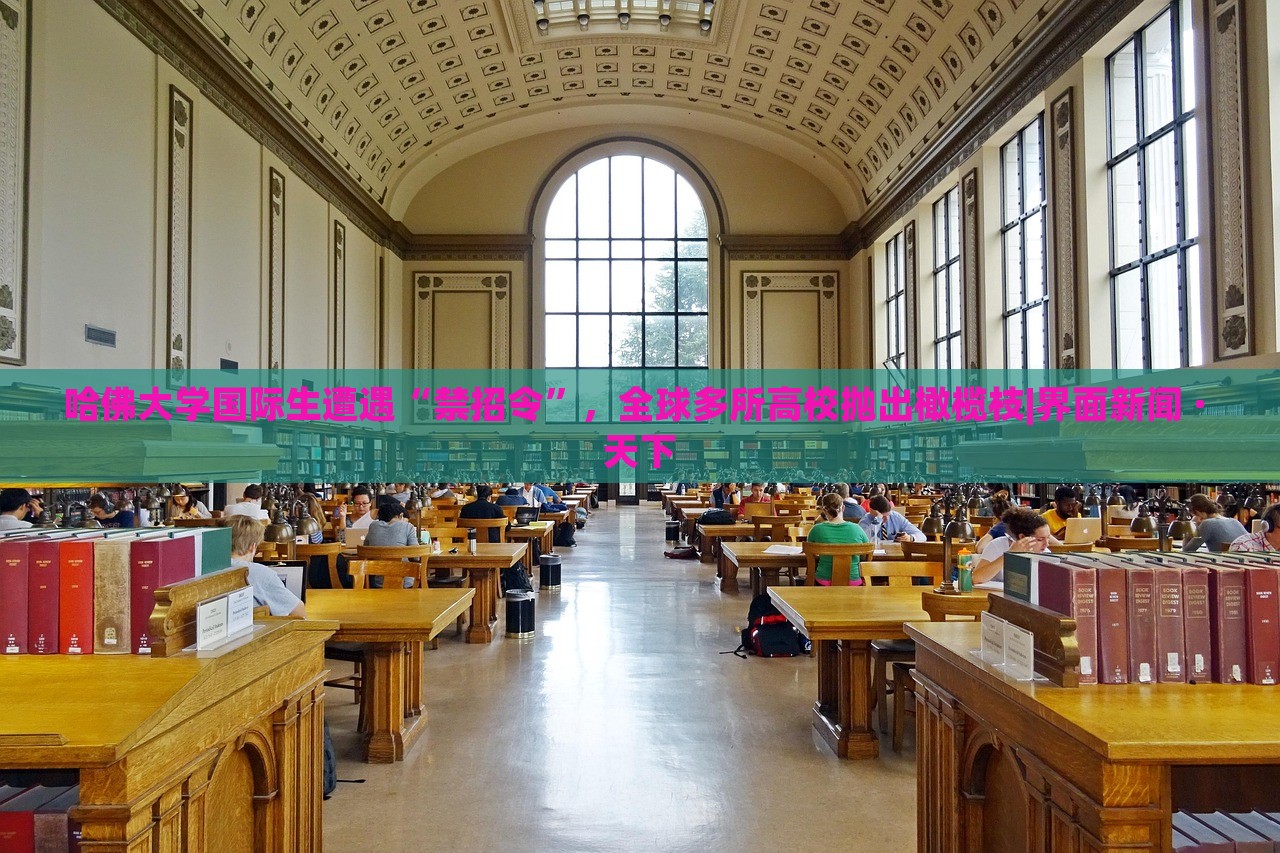 哈佛大学国际生遭遇“禁招令”，全球多所高校抛出橄榄枝|界面新闻 · 天下