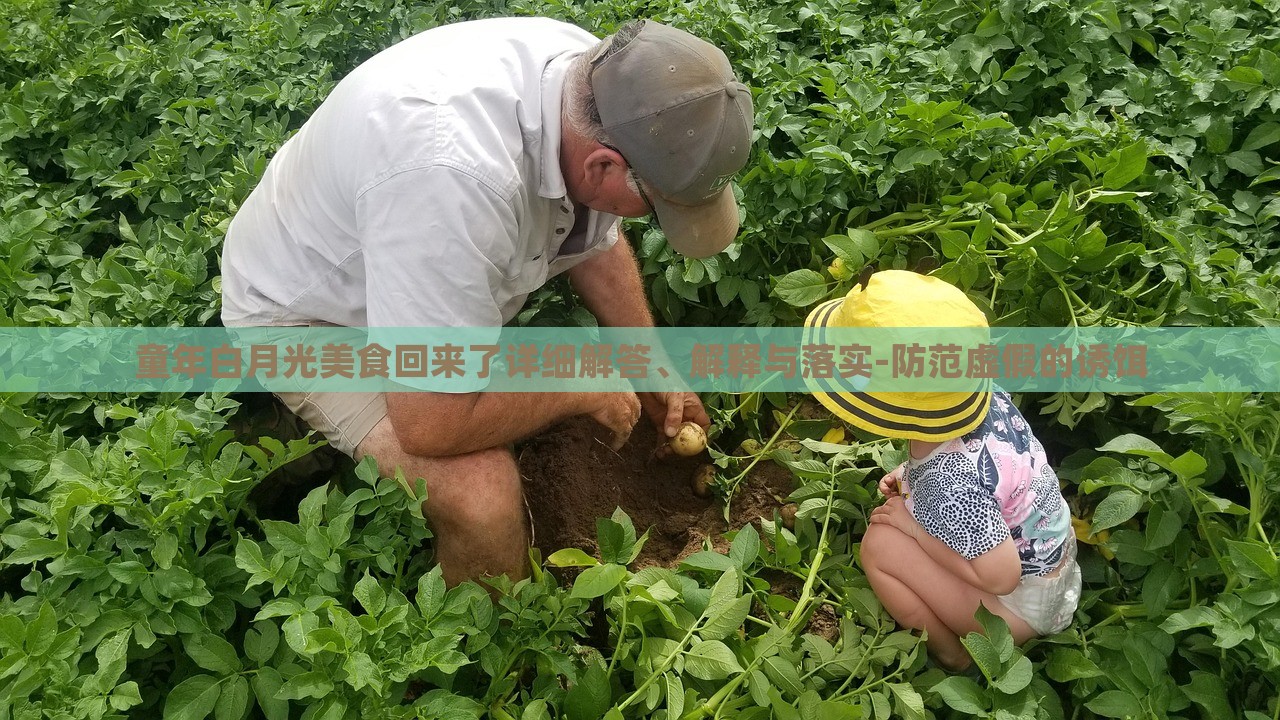 童年白月光美食回来了详细解答、解释与落实-防范虚假的诱饵