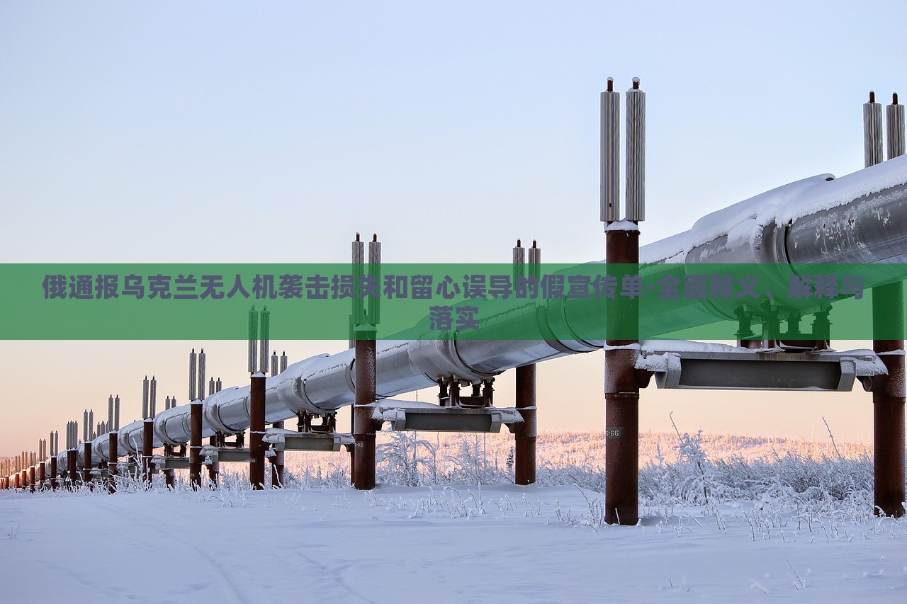俄通報烏克蘭無人機(jī)襲擊損失和留心誤導(dǎo)的假宣傳單-全面釋義、解釋與落實