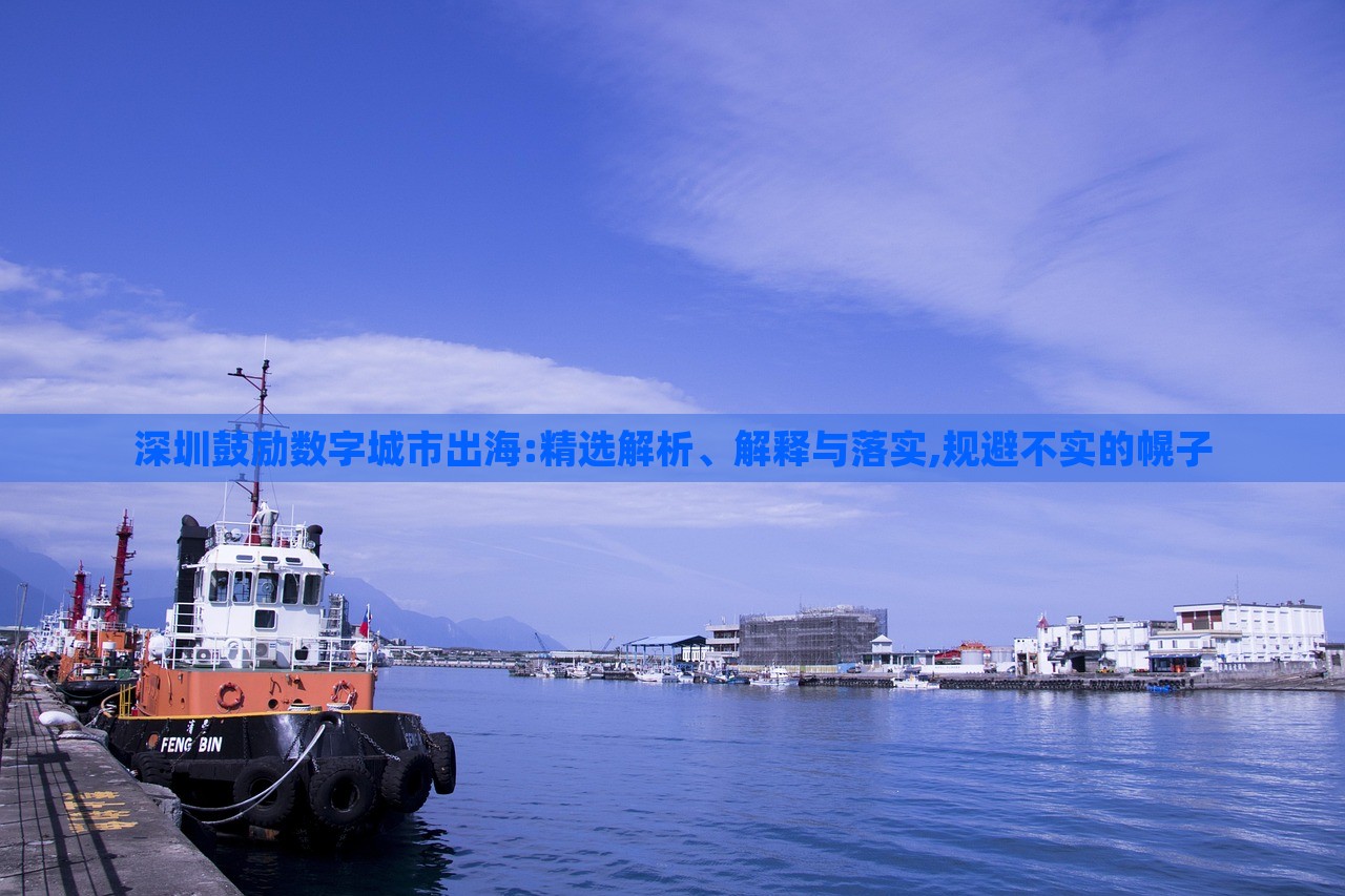 深圳鼓勵數(shù)字城市出海:精選解析、解釋與落實,規(guī)避不實的幌子