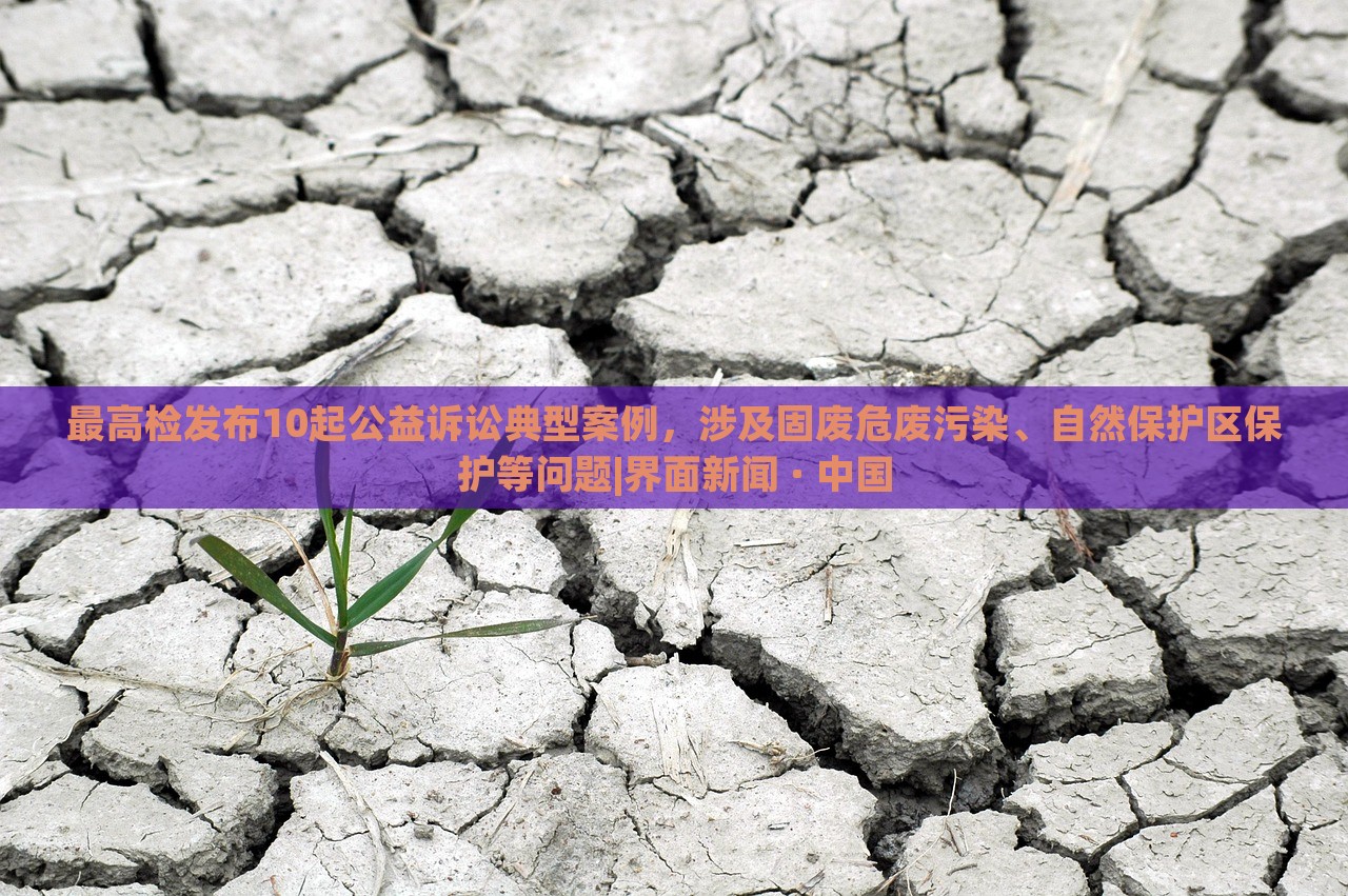 最高检发布10起公益诉讼典型案例，涉及固废危废污染、自然保护区保护等问题|界面新闻 · 中国