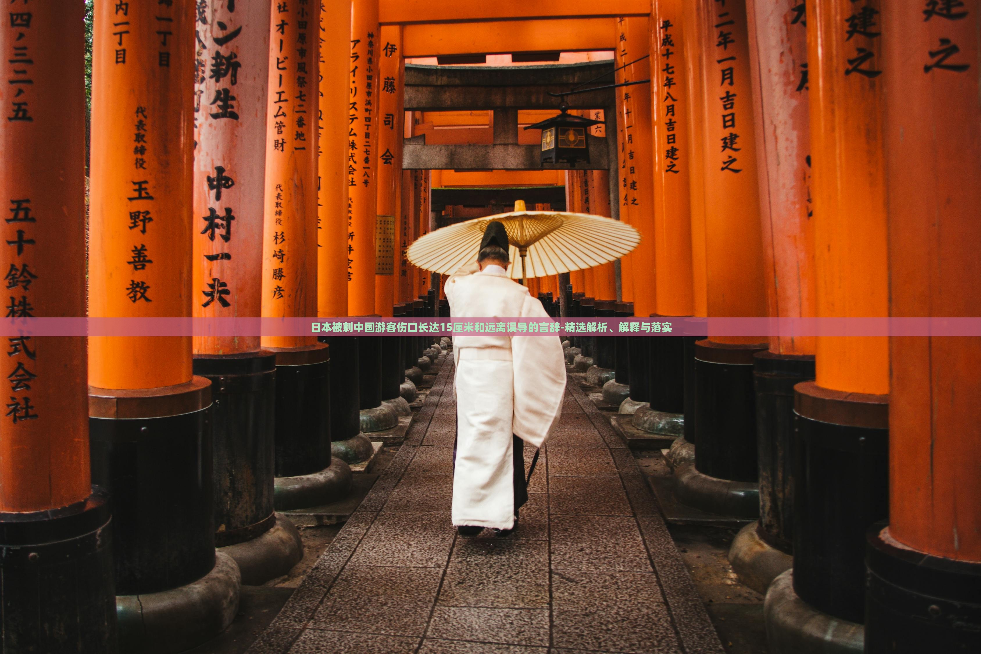 日本被刺中國游客傷口長達(dá)15厘米和遠(yuǎn)離誤導(dǎo)的言辭-精選解析、解釋與落實(shí)